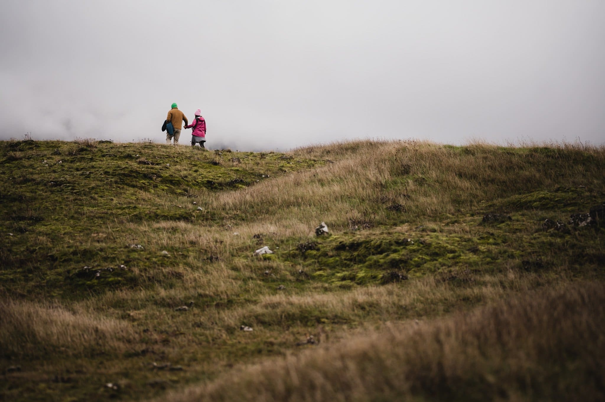 Rowena Crest Surprise Proposal Photography