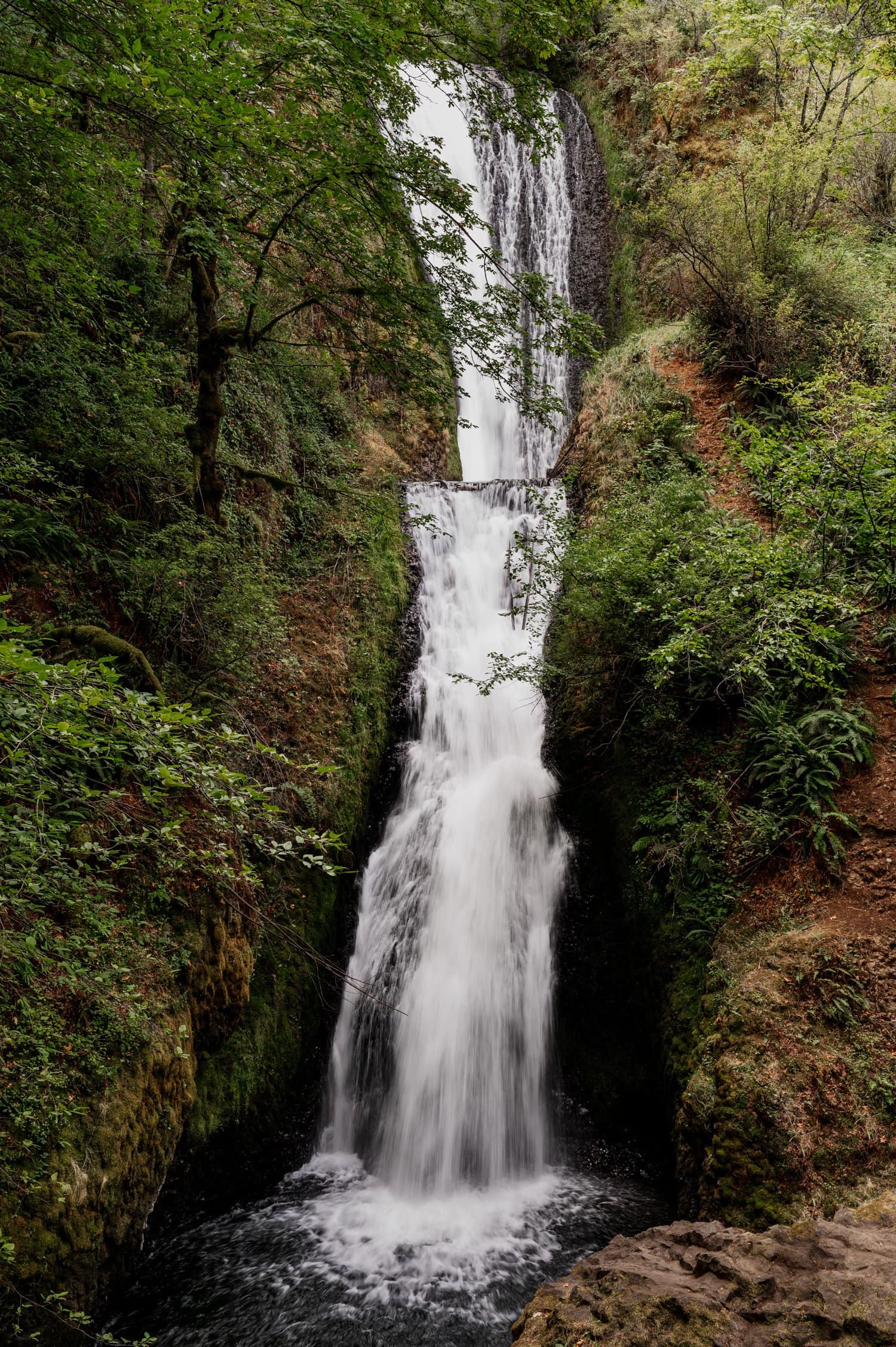 Bridal Veil Lodge Wedding Photography
