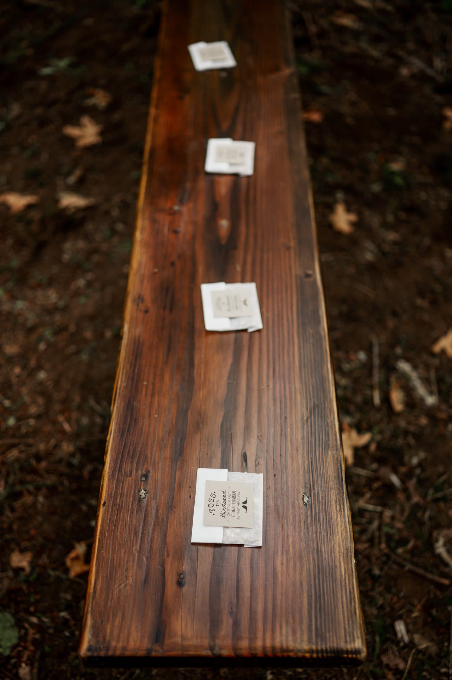 Bridal Veil Lodge Wedding Photography