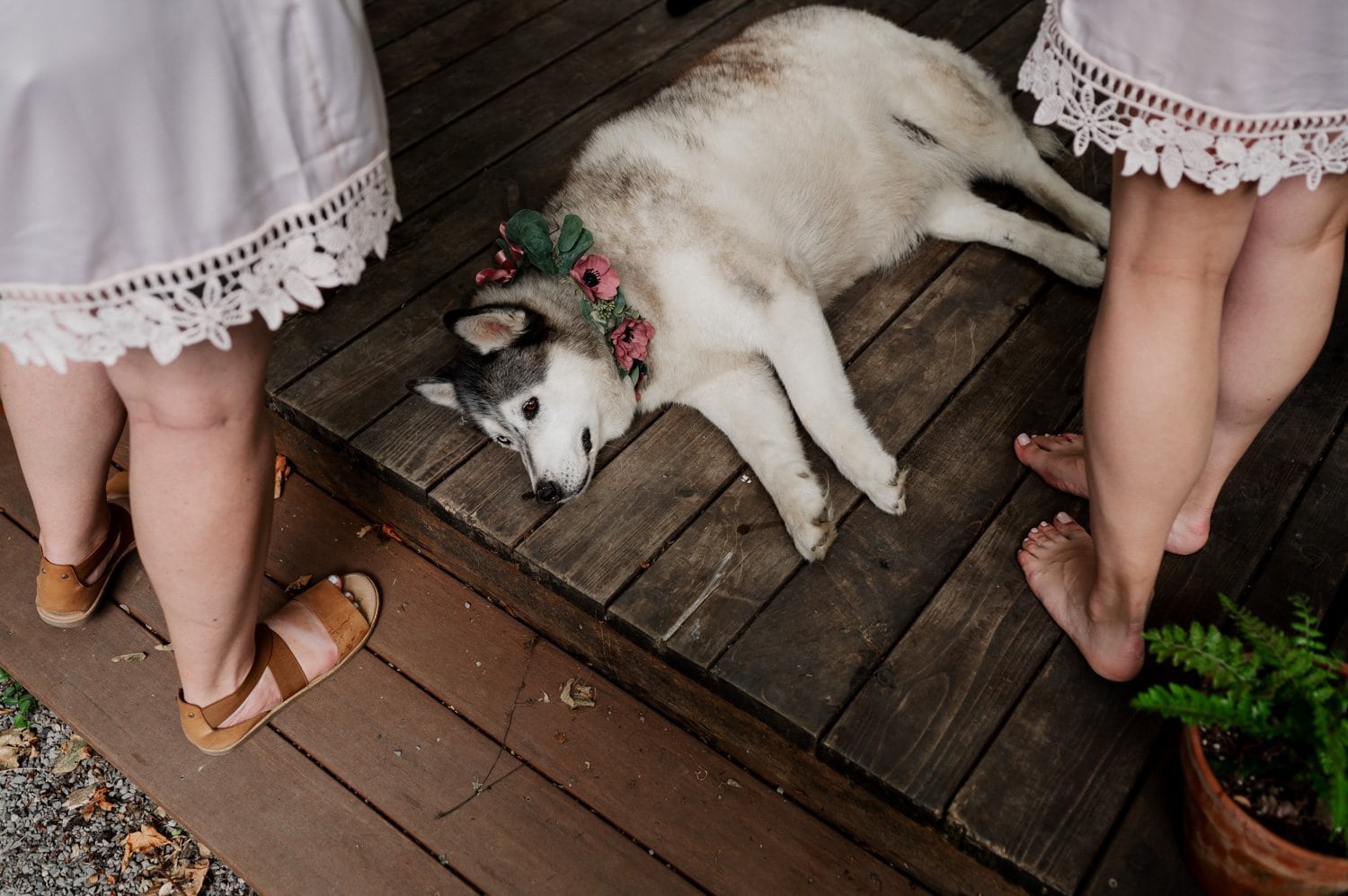 Bridal Veil Lodge Wedding Photography