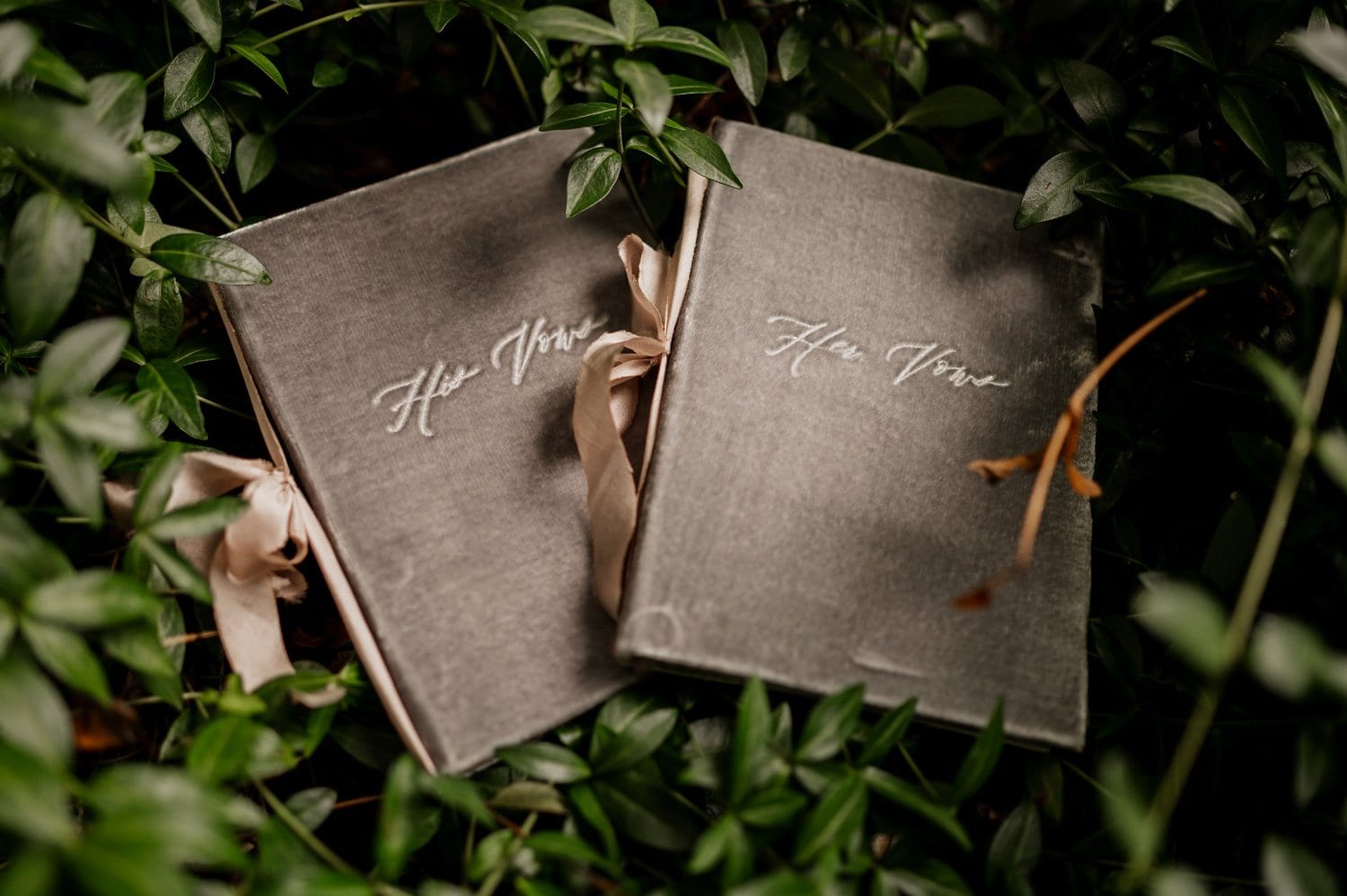 Bridal Veil Lodge Wedding Photography