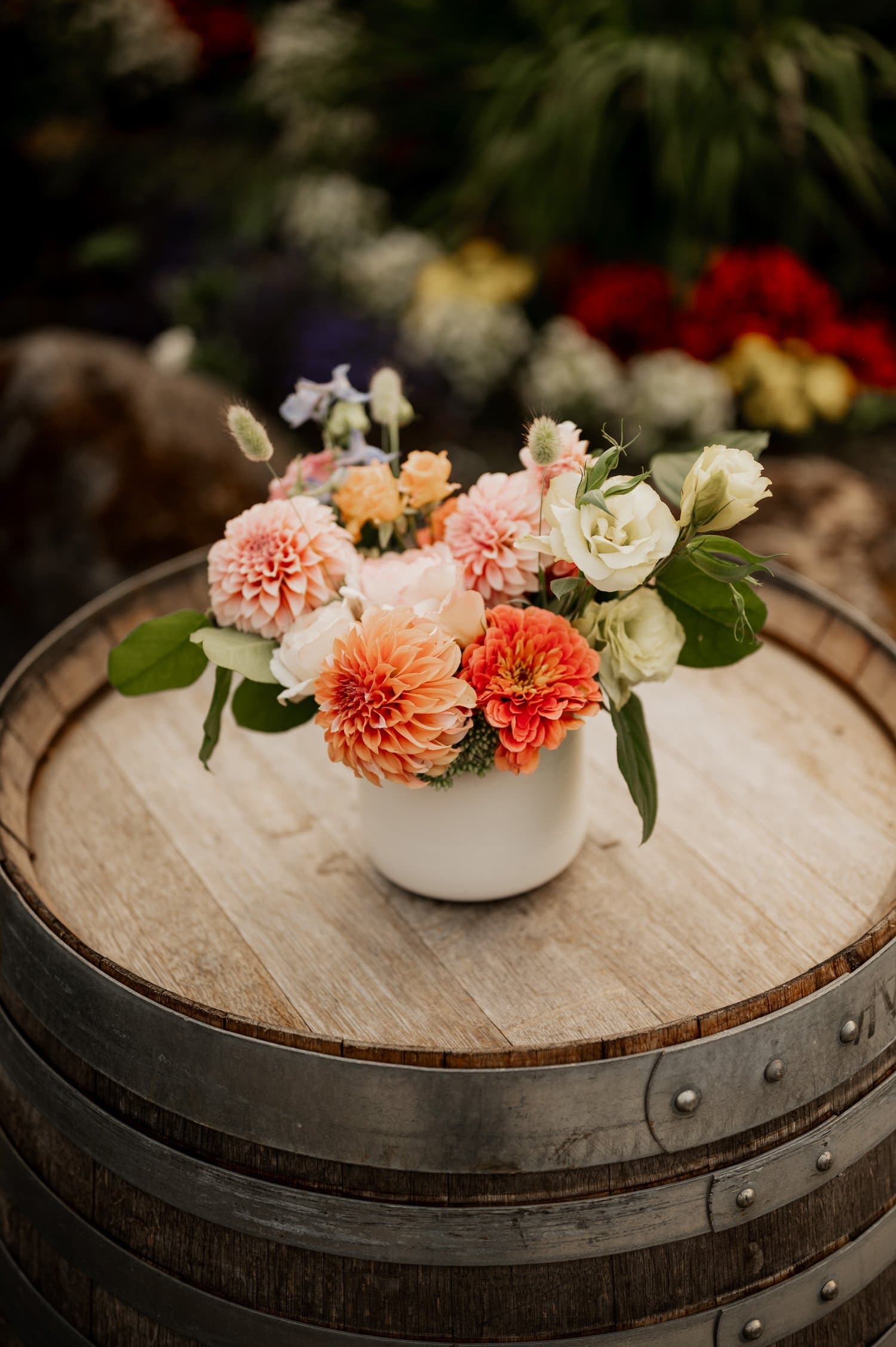 Cape Horn Estate Wedding Photography