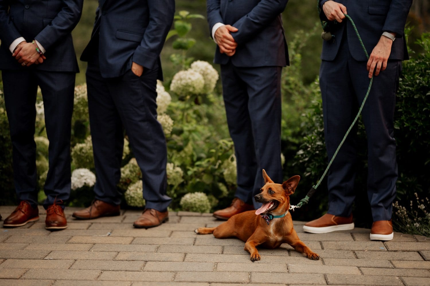 Cape Horn Estate Wedding Photography