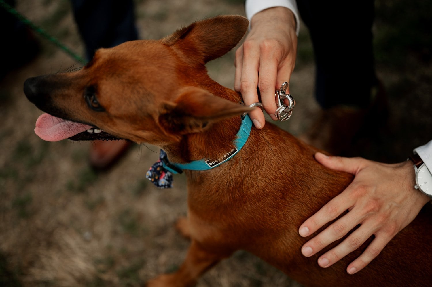 Cape Horn Estate Wedding Photography
