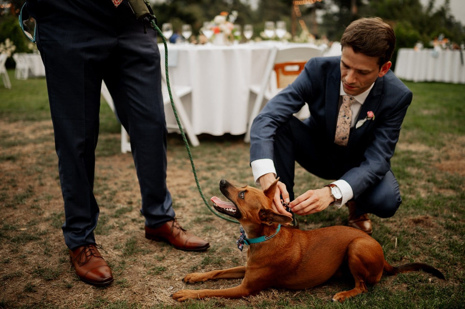 Cape Horn Estate Wedding Photography