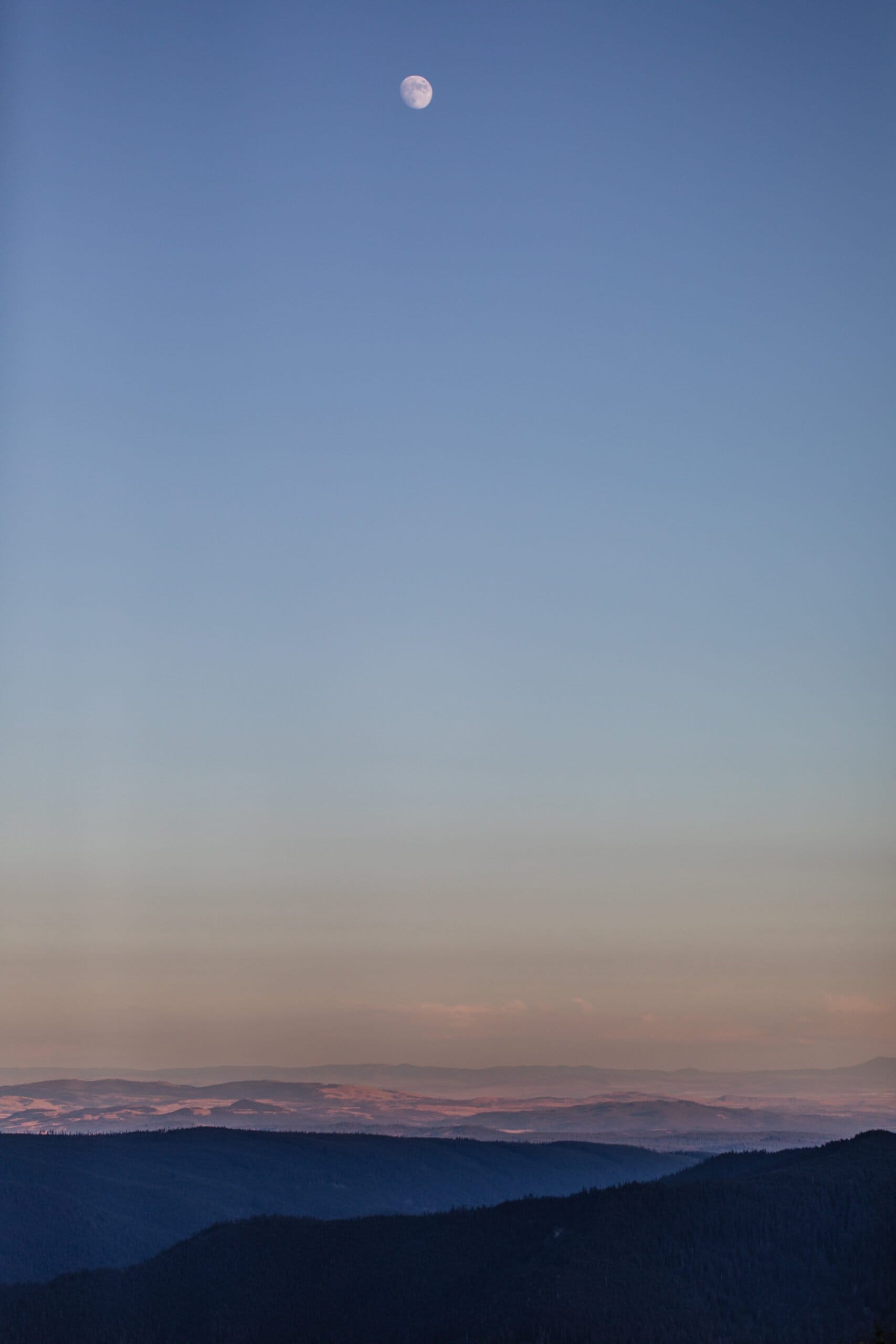 Gorgeous Timberline Lodge Wedding