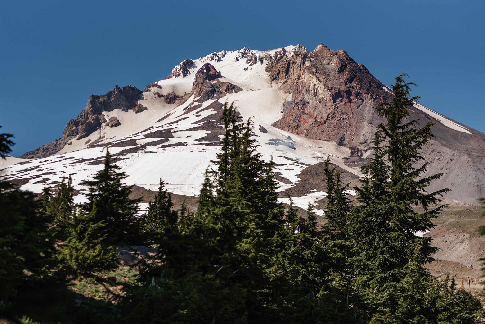 Gorgeous Timberline Lodge Wedding