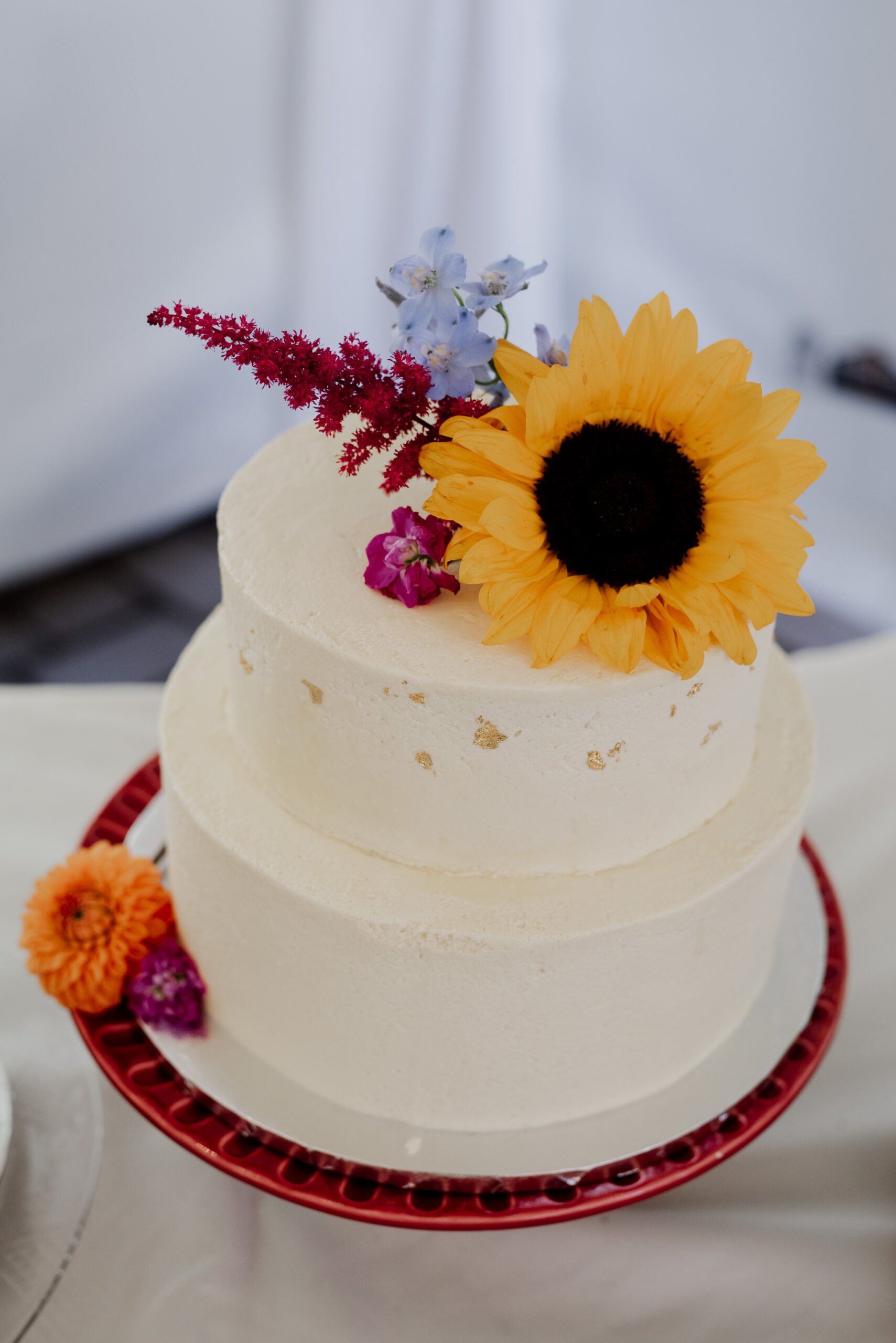 Mt Hood Ski Bowl Wedding Photography