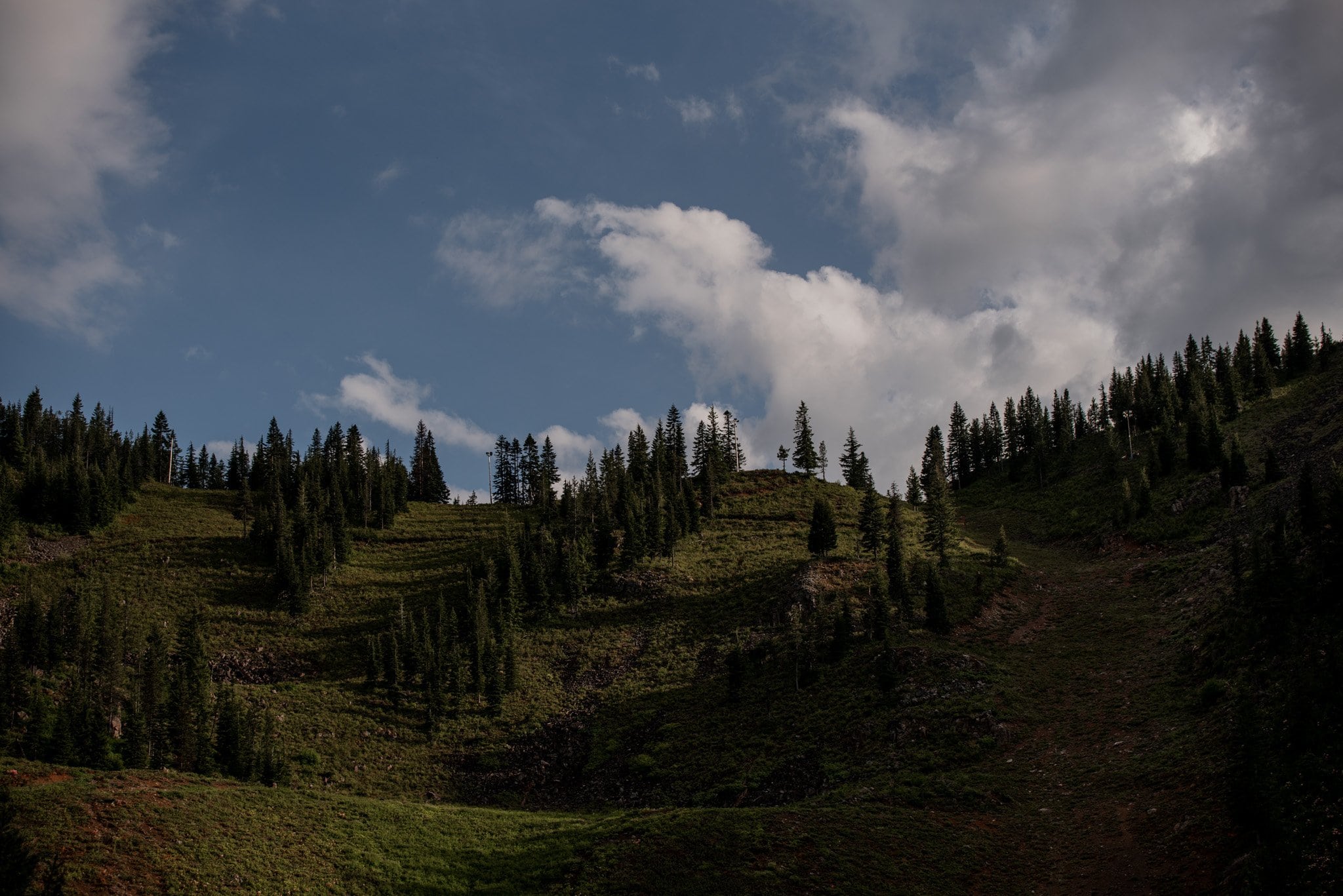 Mt Hood Ski Bowl Wedding Photography