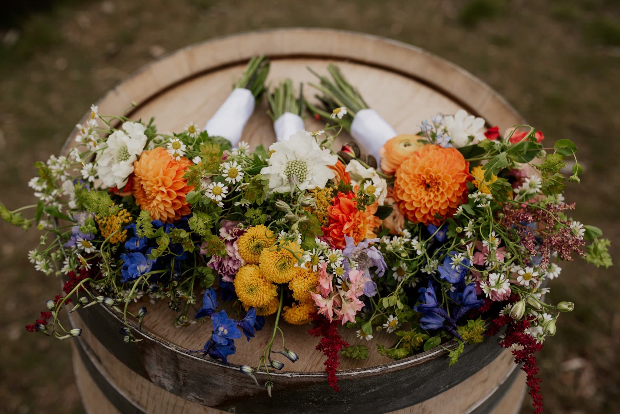 Mt Hood Ski Bowl Wedding Photography