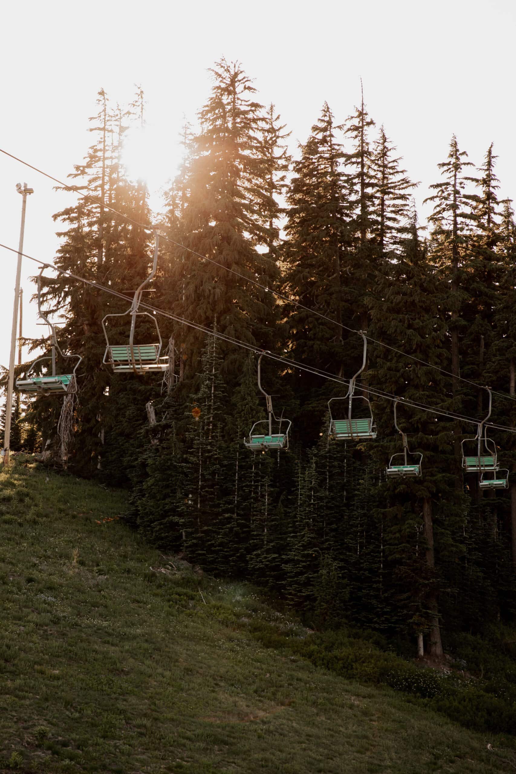 Summer Wedding At Mt Hood Meadows
