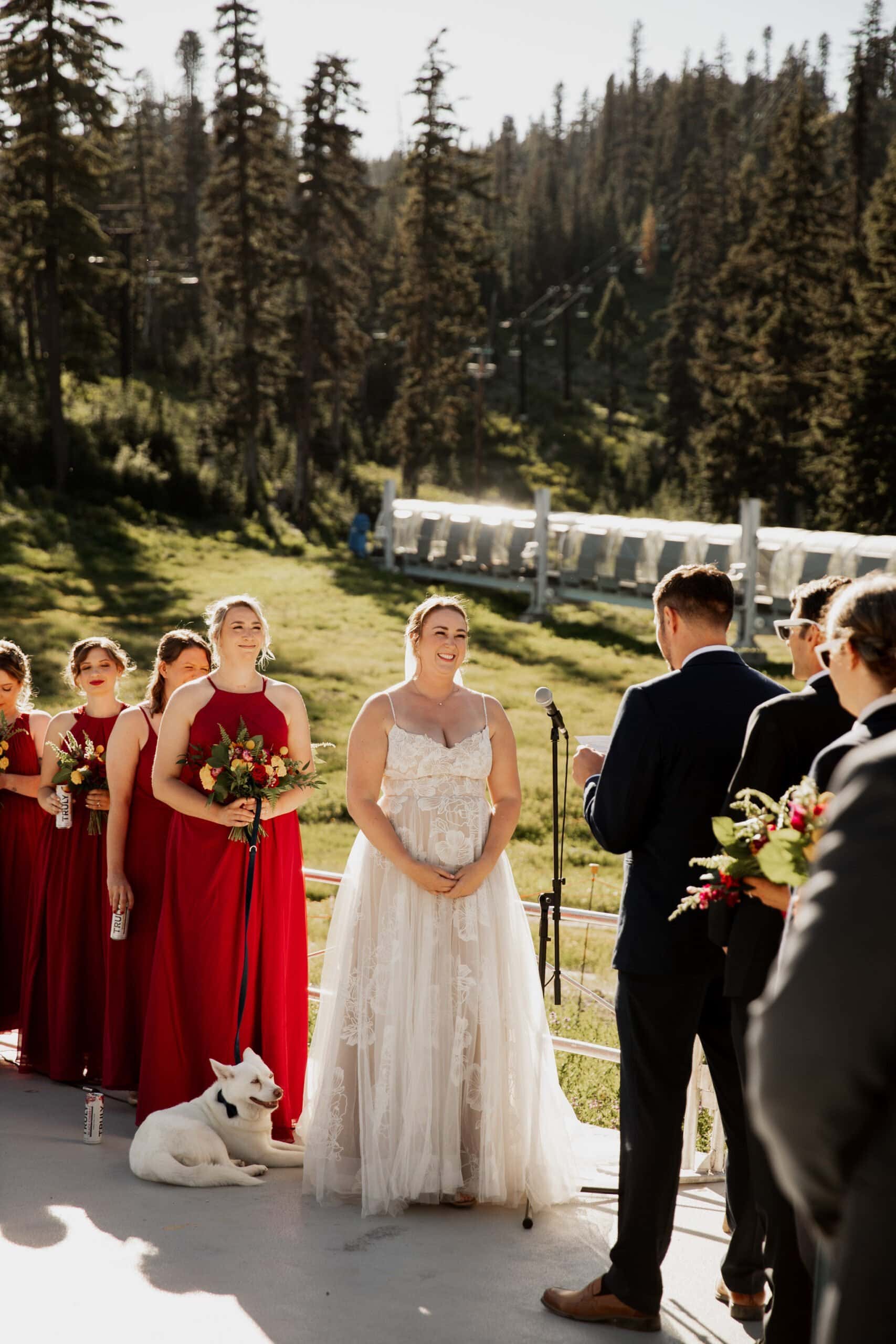 Summer Wedding At Mt Hood Meadows