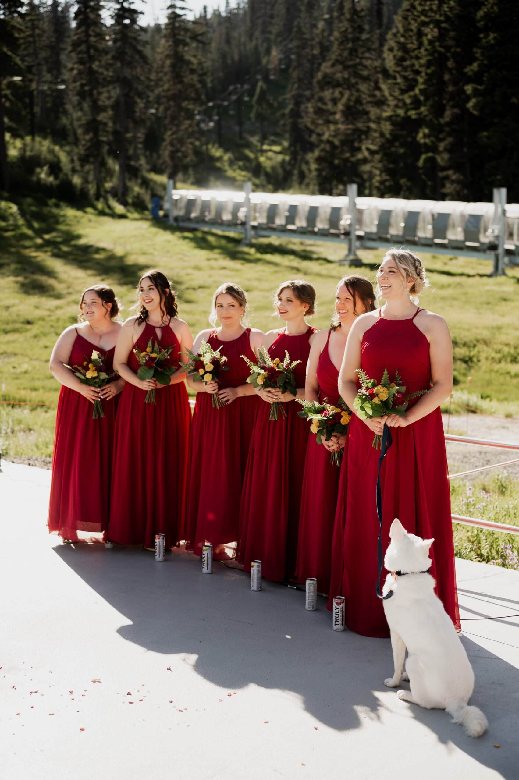 Summer Wedding At Mt Hood Meadows