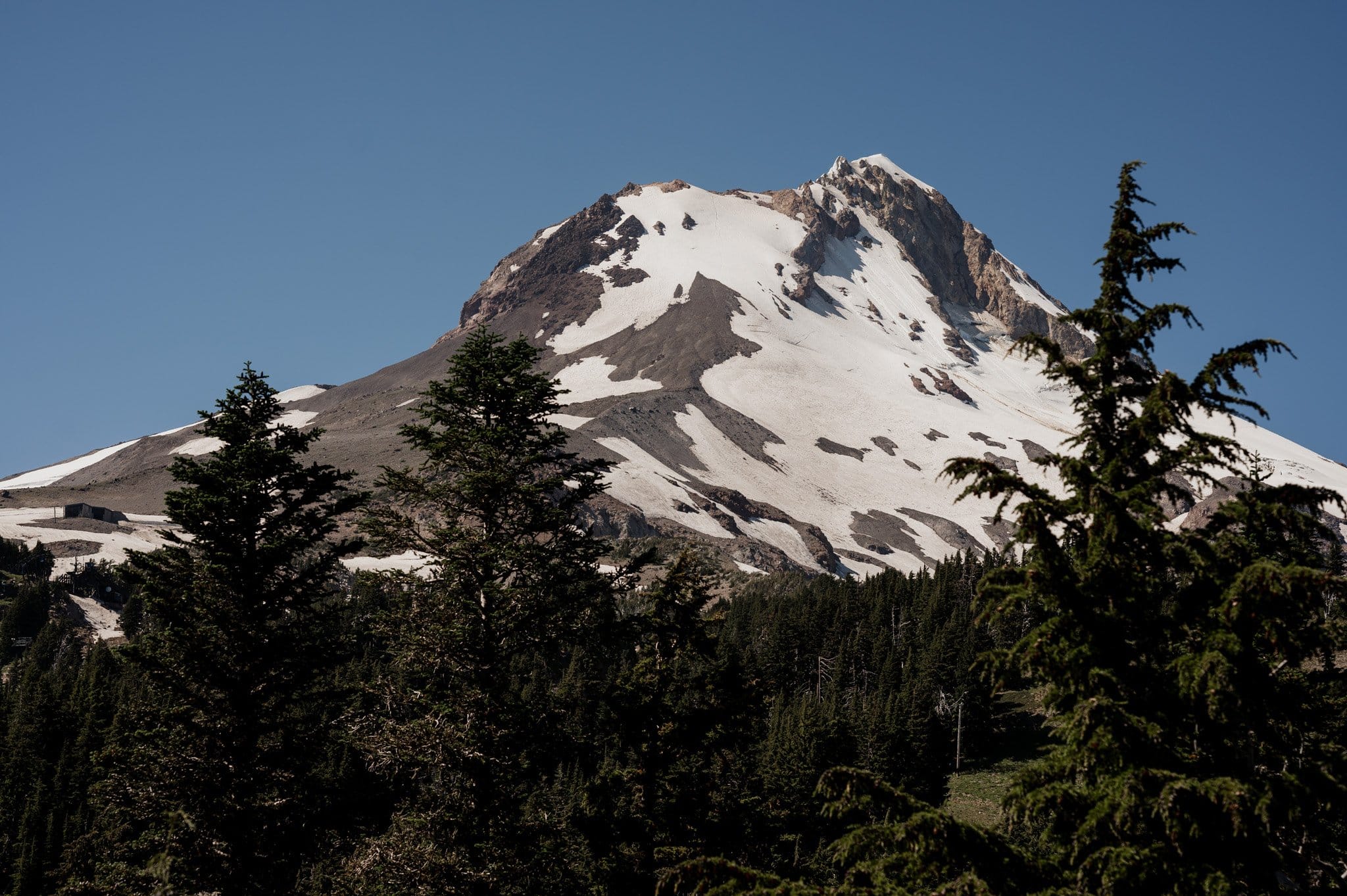 Summer Wedding At Mt Hood Meadows
