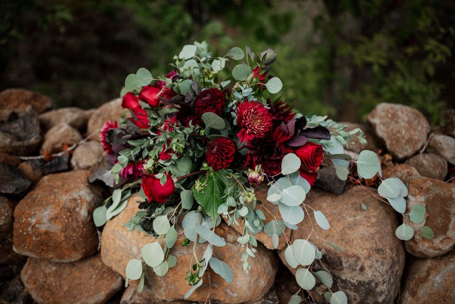 Beautiful Zenith Vineyard Wedding
