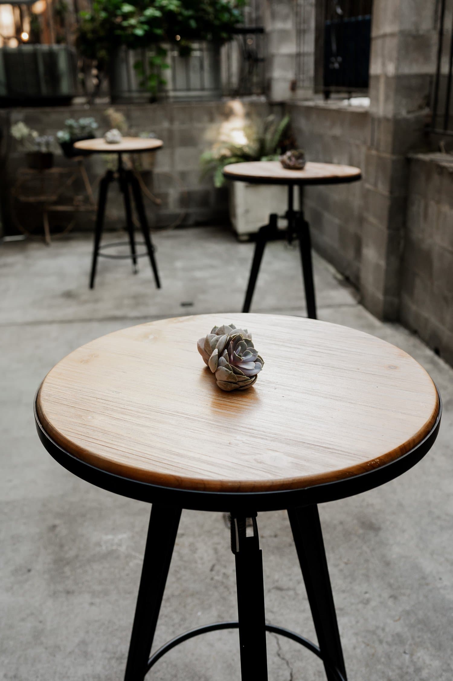 The outdoor setting at Opal 28 showcases round wooden tables decorated with small succulents, providing an ideal environment for a wedding. The area is surrounded by concrete walls, enhancing the intimate feel of the patio for unforgettable events.