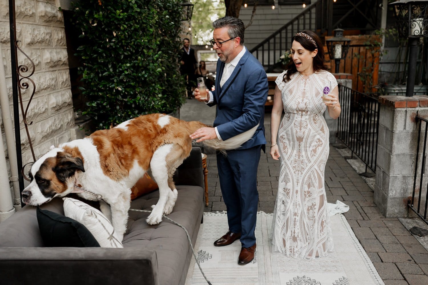 A couple in formal attire laughs as a large dog jumps onto an outdoor couch during their wedding at Opal 28.