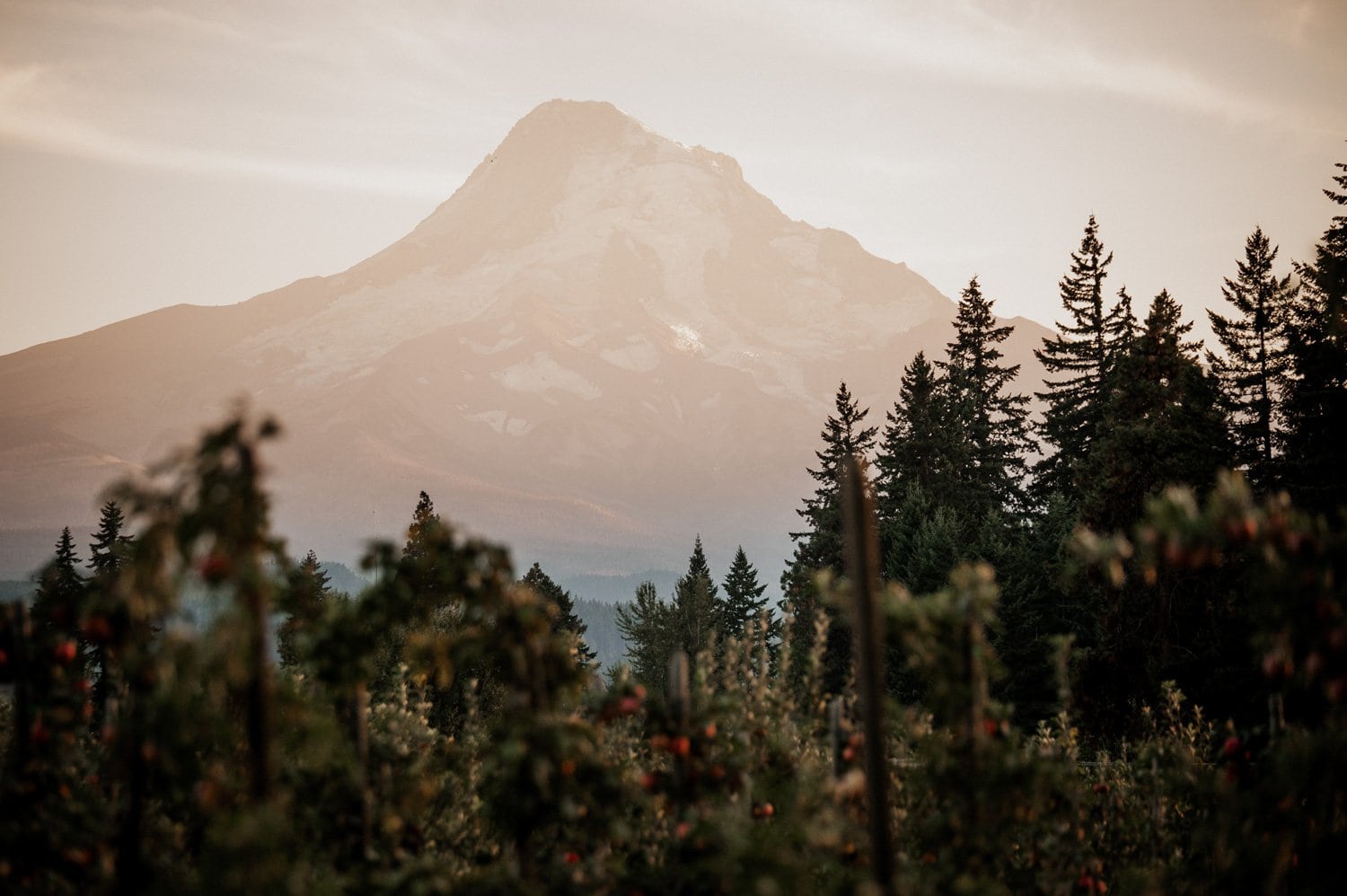 Miller Farm Hood River Mt Hood Wedding Venue