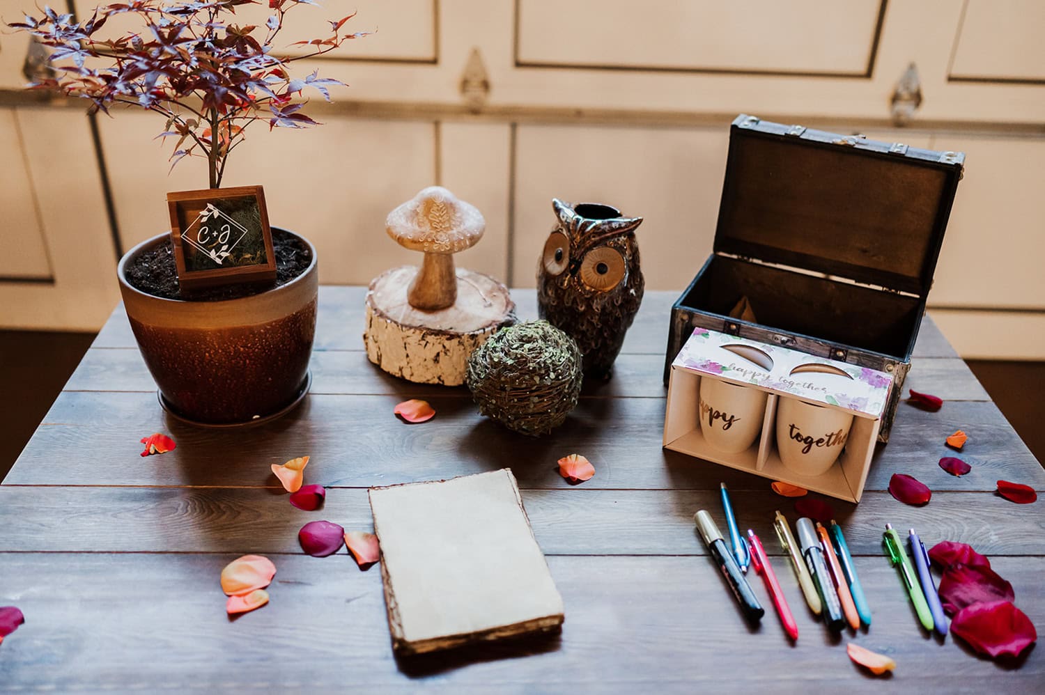 A table scene featuring a plant, an owl figurine, and pens next to an open treasure chest with scattered rose petals around it.