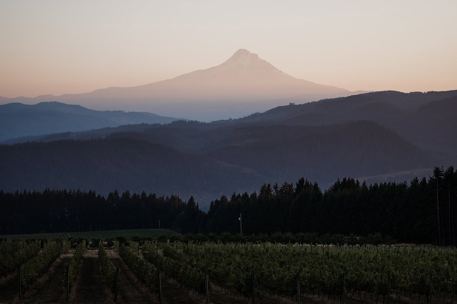 A hazy mountain landscape at dusk with fields and forests in the foreground, capturing a tranquil and picturesque scene.