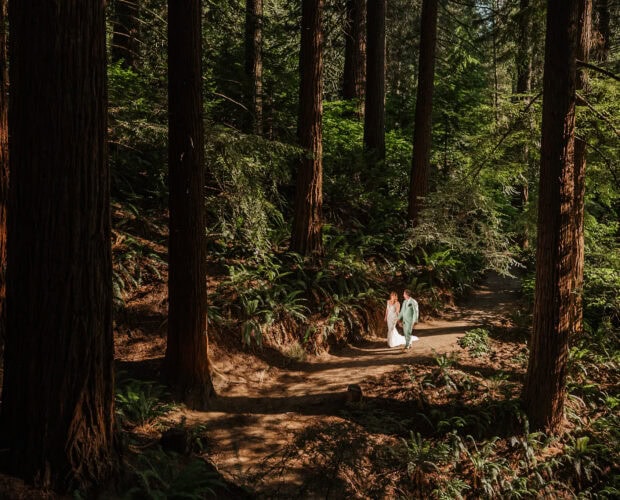 A couple walks hand in hand along a forest trail at Hoyt Arboretum, surrounded by tall trees and dense greenery.