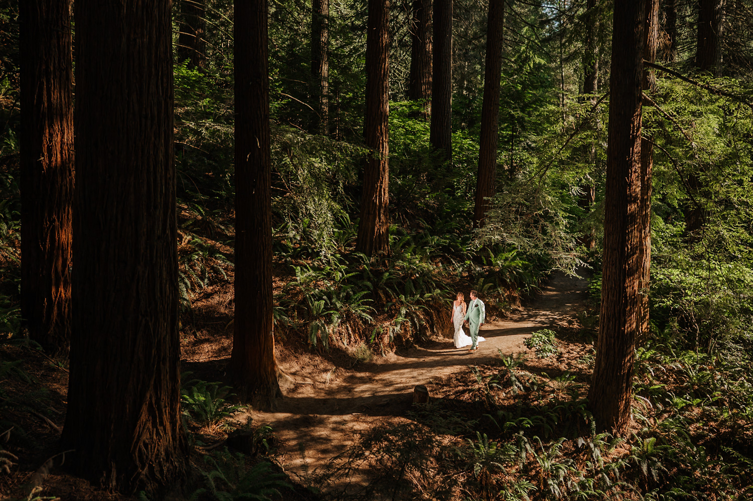 A couple in wedding attire stands on the Redwood deck at Hoyt Arboretum, surrounded by tall trees and lush greenery as sunlight filters through the forest.