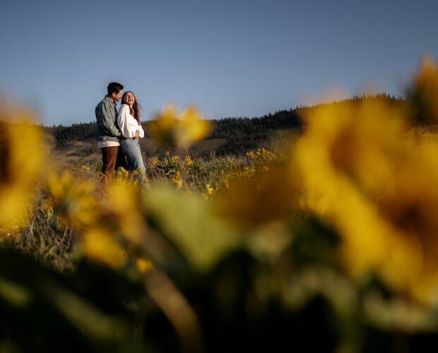 A couple stands together in a field of yellow wildflowers at Rowena Crest during their engagement session, with green hills and a clear sky in the background.