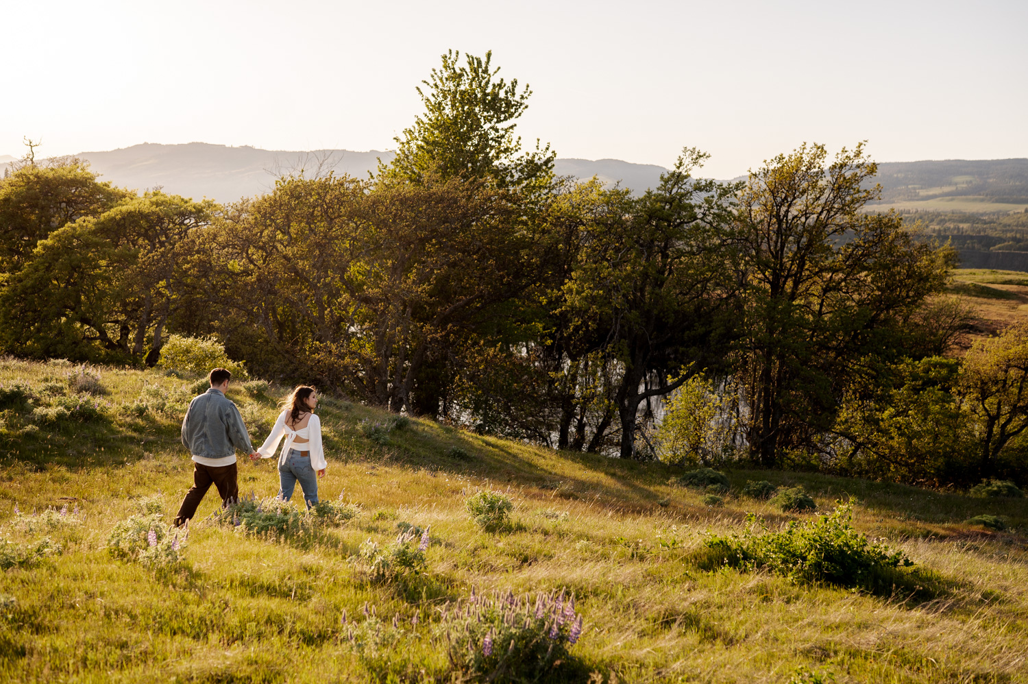 A couple walks hand in hand through a sunlit grassy meadow filled with wildflowers, surrounded by trees and distant hills under a clear sky.