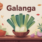 illustration racine galanga cuisine asiatique santé