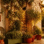 idee pour cacher un mur exterieur avec plantes grimpantes et deco