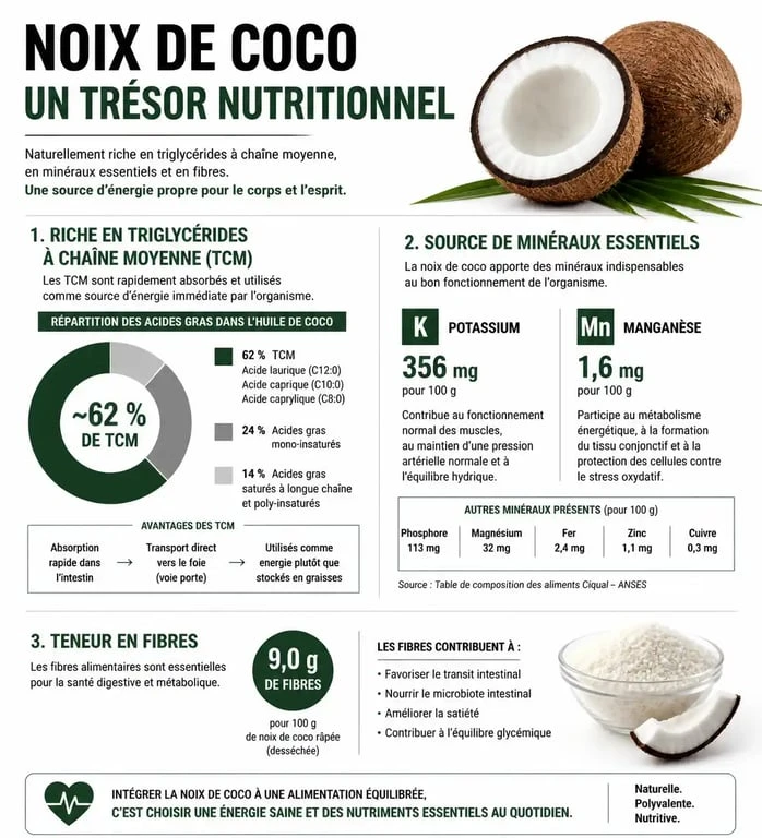 Infographie des bienfaits nutritionnels et des propriétés santé de la noix de coco