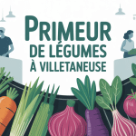 primeur legumes villetaneuse illustration étal marché légumes