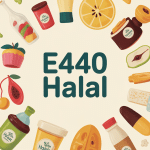 illustration moderne e440 halal avec fruits et produits sucrés