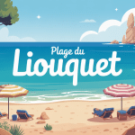 illustration vectorielle plage du liouquet avec galets mer et végétation