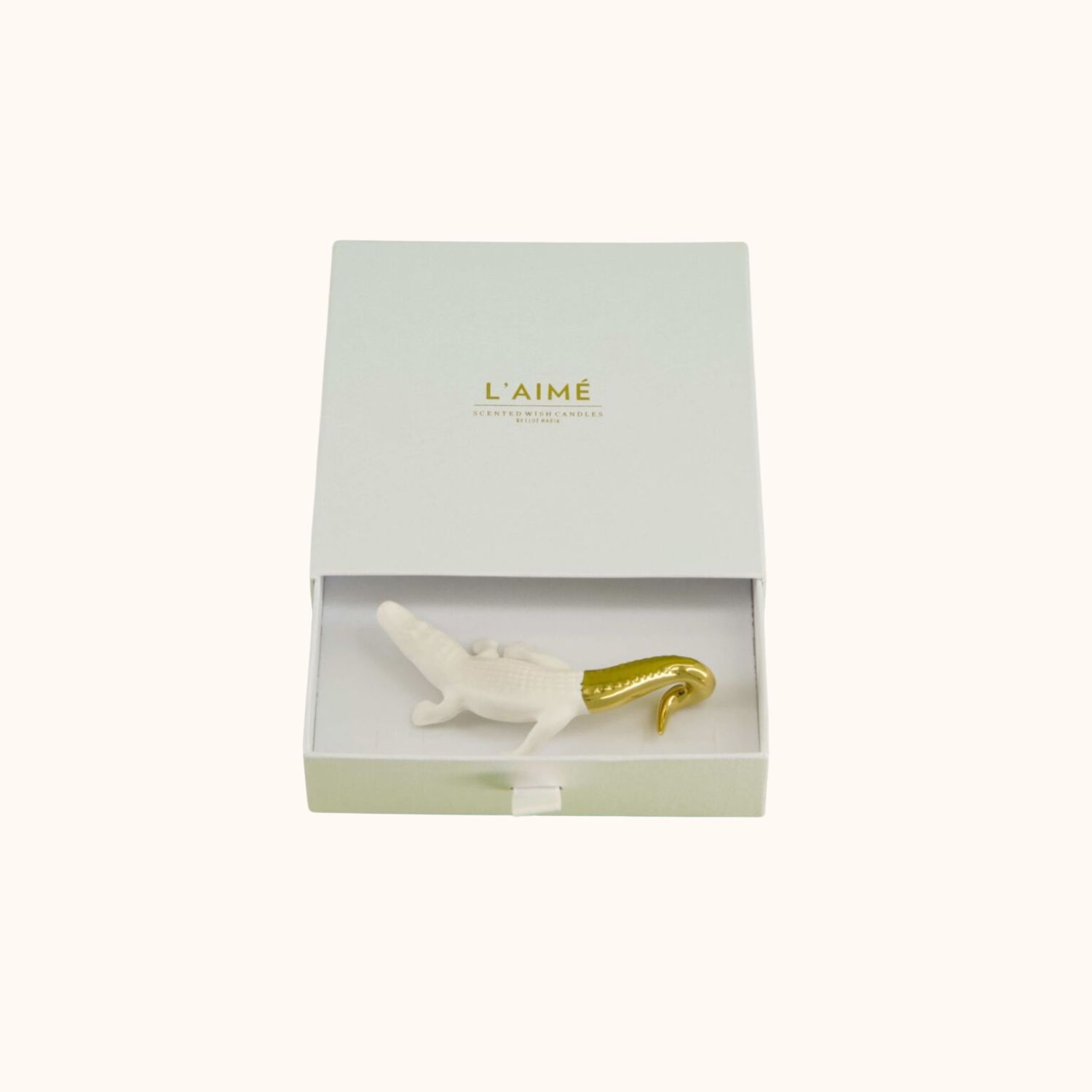 crocodile- accessoire- en vrac