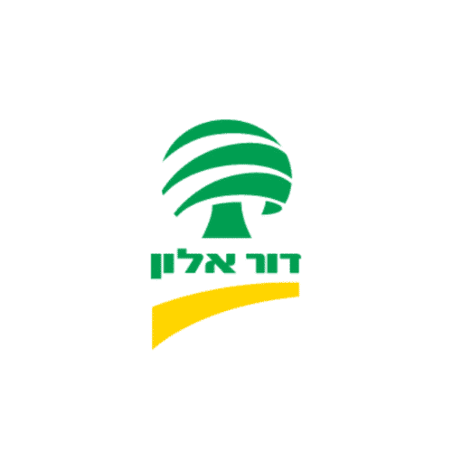 דור אלון
