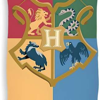 Harry Potter Hogwarst Telo Mare