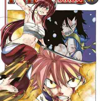 Fairy Tail New Edition 47