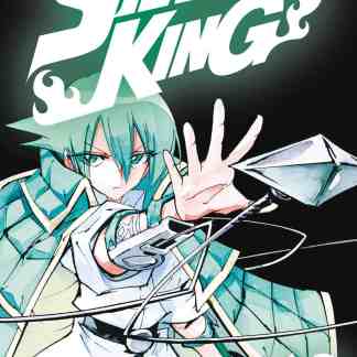 Copertina del volume 12 di Shaman King final edition, manga di Hiroyuki Takei con protagonista Yoh.