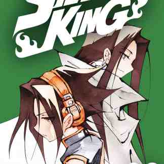 Copertina di Shaman King Final Edition 23, personaggi principali in stile anime, colore verde e design dinamico.
