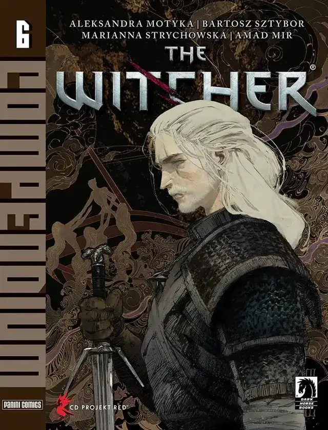 The Witcher 6
