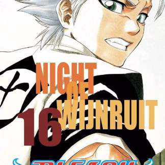 Bleach 16