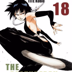 Bleach 18