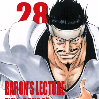 Bleach 28
