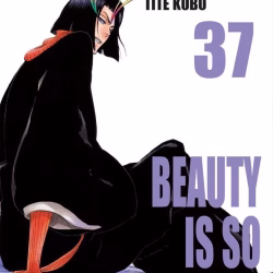 Bleach 37
