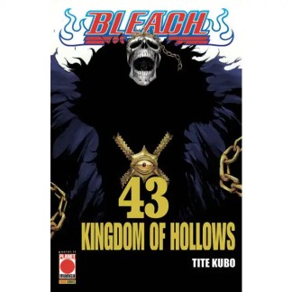 Skull e simboli oscuri, manga Bleach 43 Kingdom of Hollows.