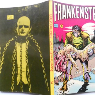 Alt text: Copertina di fumetto di Frankenstein con illustrazione vivace di mostro e protagonista in un paesaggio notturno.