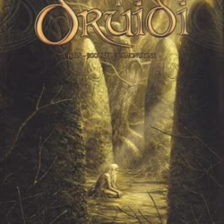 I druidi Vol. 2 - La lancia di Lug