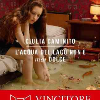 Riflessi e emozioni nel lago, protagonista di "L'acqua del lago non è mai dolce" di Giulia Caminto, vincitrice Premio Campiello.