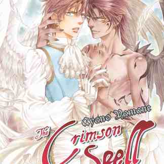 Un'illustrazione manga di angelo e demone, protagonisti di "The Crimson Ray", che mostra protezione e sfida tra due essenze divine e maledette.